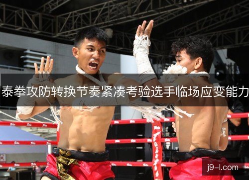 泰拳攻防转换节奏紧凑考验选手临场应变能力